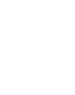 Nipo School